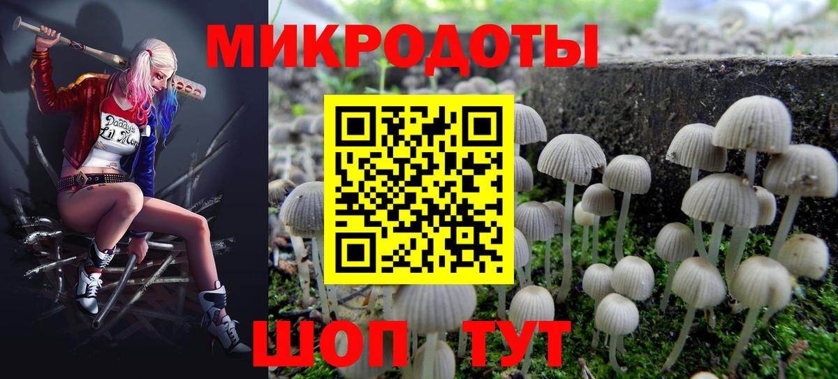 Псилоцибиновые грибы ЛСД  Вход с VPN  Киселёвск 