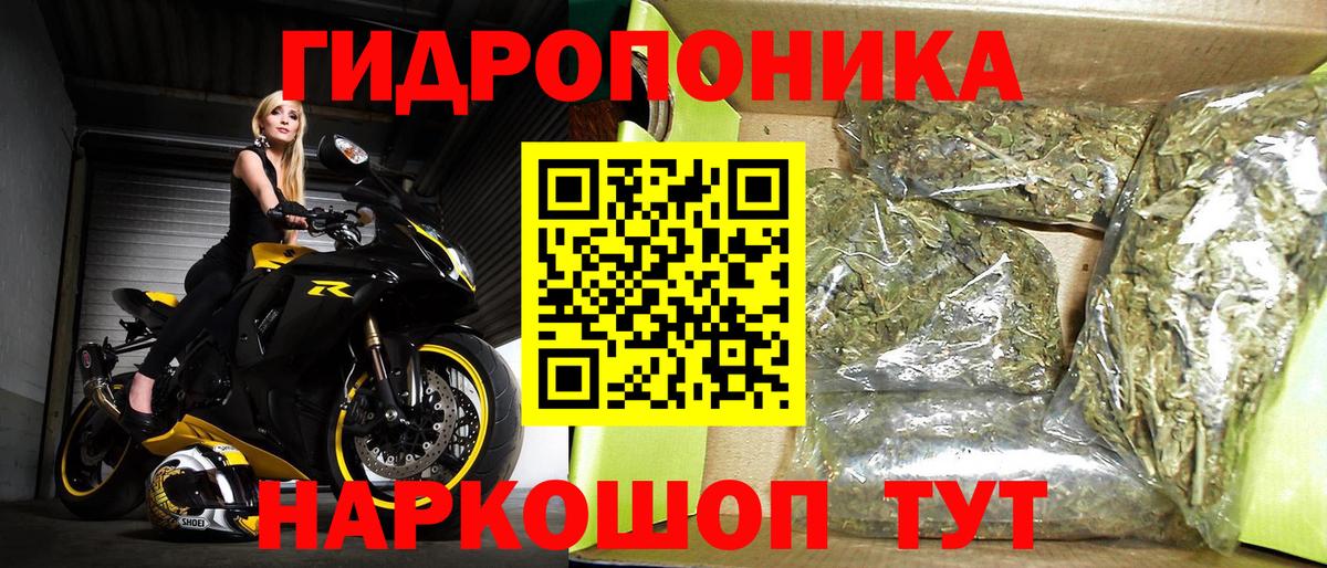 Бошки Шишки тримм Киселёвск